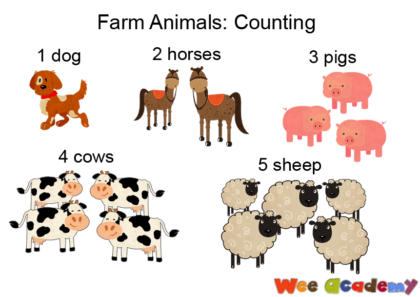 Animals translate. How many animals для дошкольников. Count Farm animals. There is/are животные. How many картинки для детей.